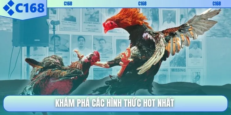 Khám phá các hình thức hot nhất